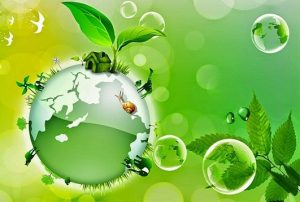 Conservation Biology Pattern